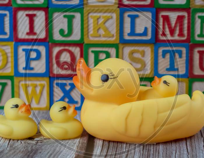 Rubber Duck Toy In Front Of Letter Wood Block