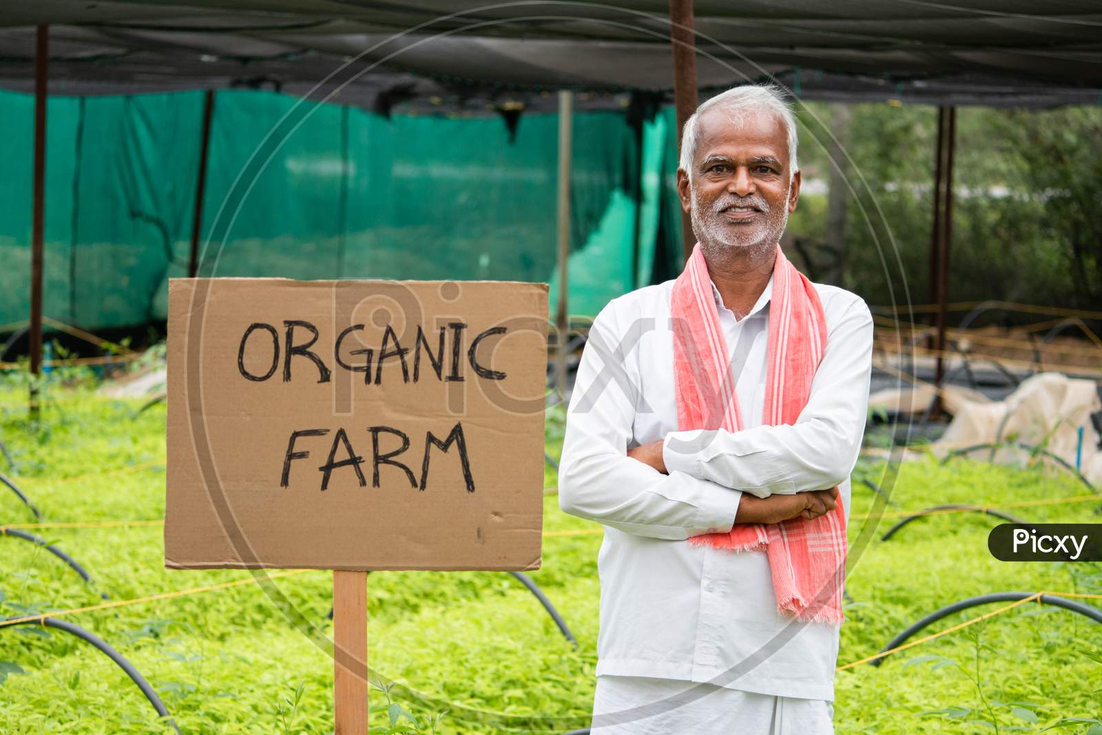 Concept Showing Of Farmer In Support Of Using Organic Farming - Farmer With Arms Crossed Confidently Standing Next To Organic Farming Board At Greenhouse Or Polyhouse.