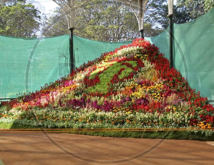 Colourful Flower Show
