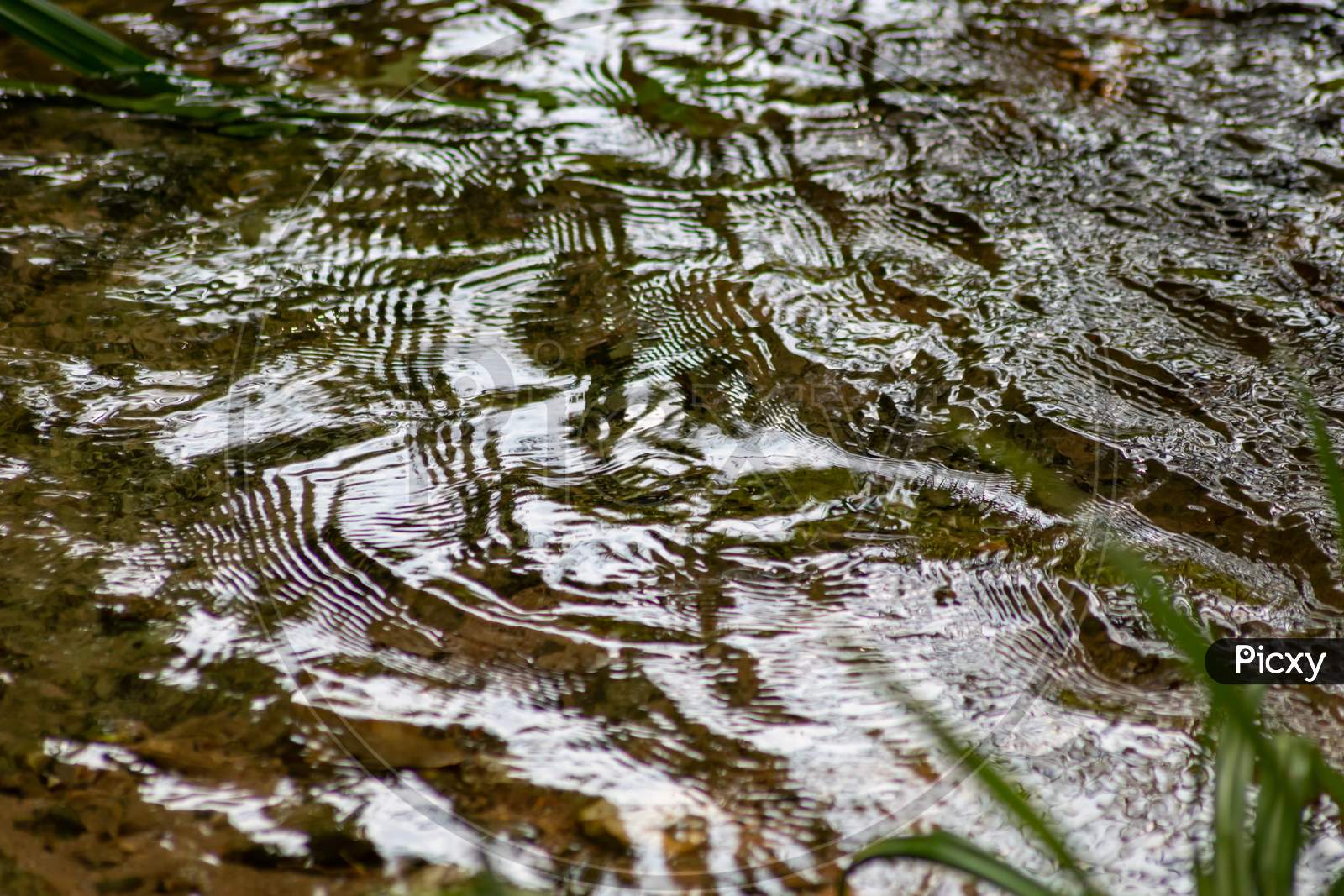 Image of Silky ripples in water of a crystal clear water creek as ...