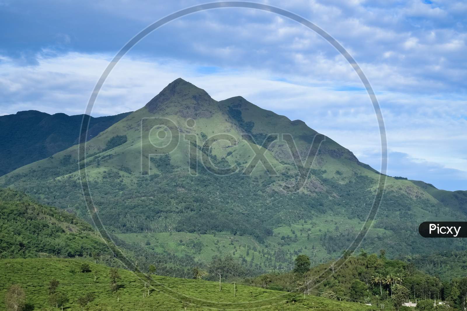 Wayanad Whistling Woods - Google hotels