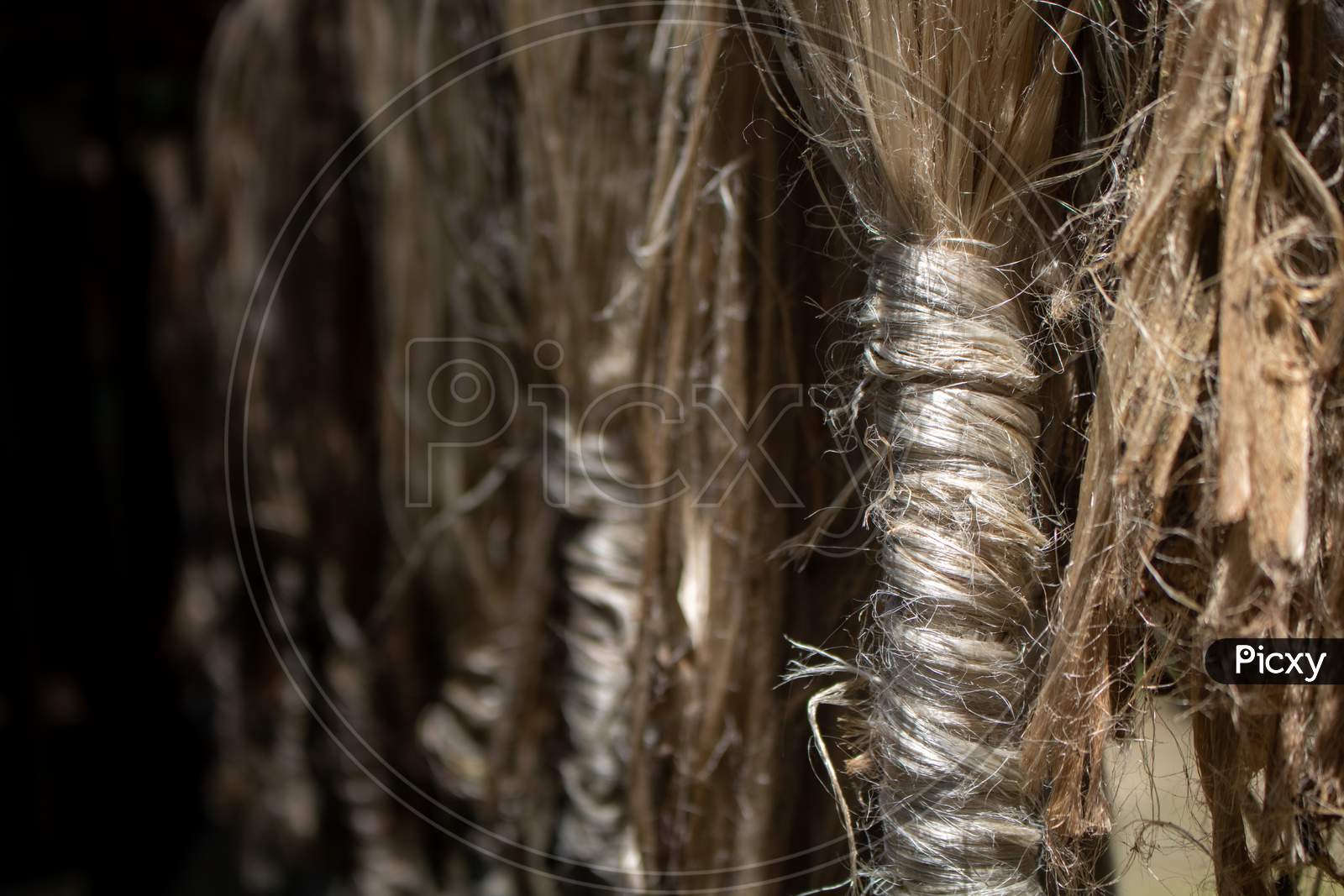 Image of The Wet Jute Is Being Dried In Rows. After The Jute Is Dried