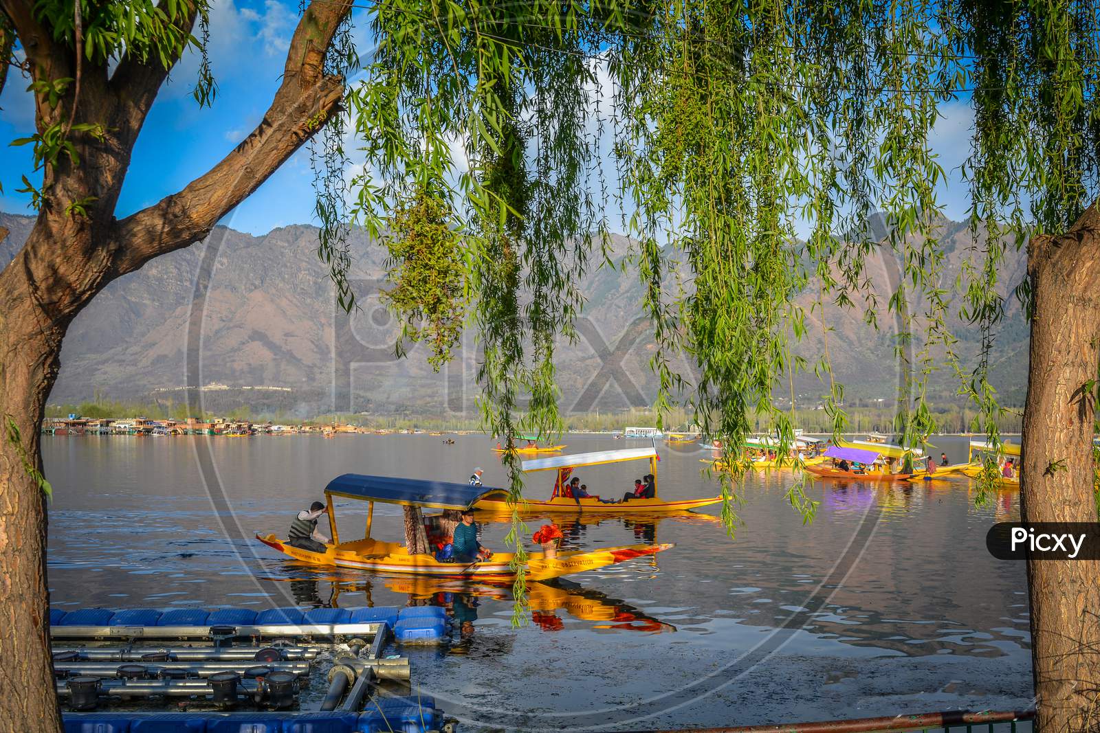 Dal Lake, Srinagar, Jammu And Kashmir, India