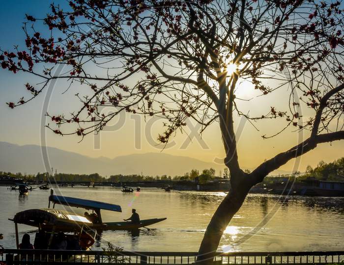 Sunset View On Dal Lake, Srinagar, India