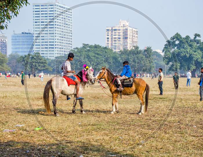 Horse handler at Kolkata maidan