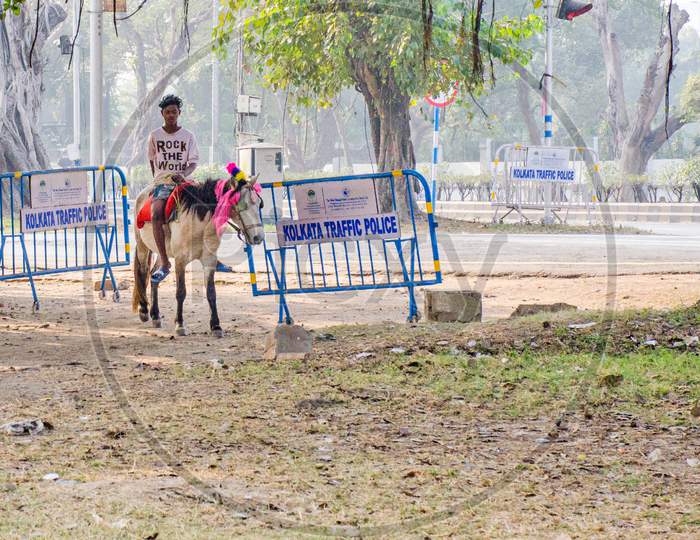 Horse handler at Kolkata maidan