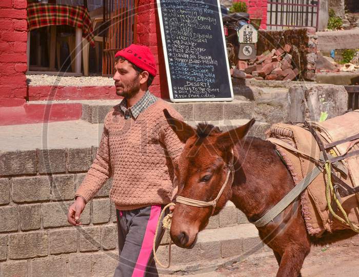 Vendor offering horse rides