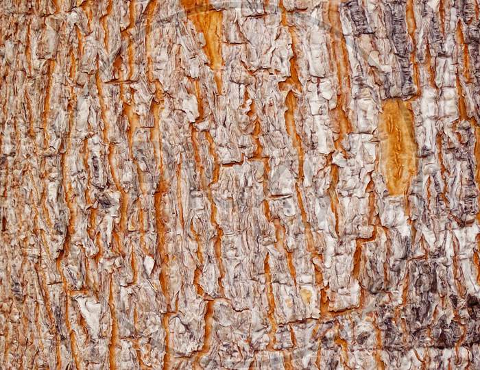wood texture backgroun, wood hd background.
