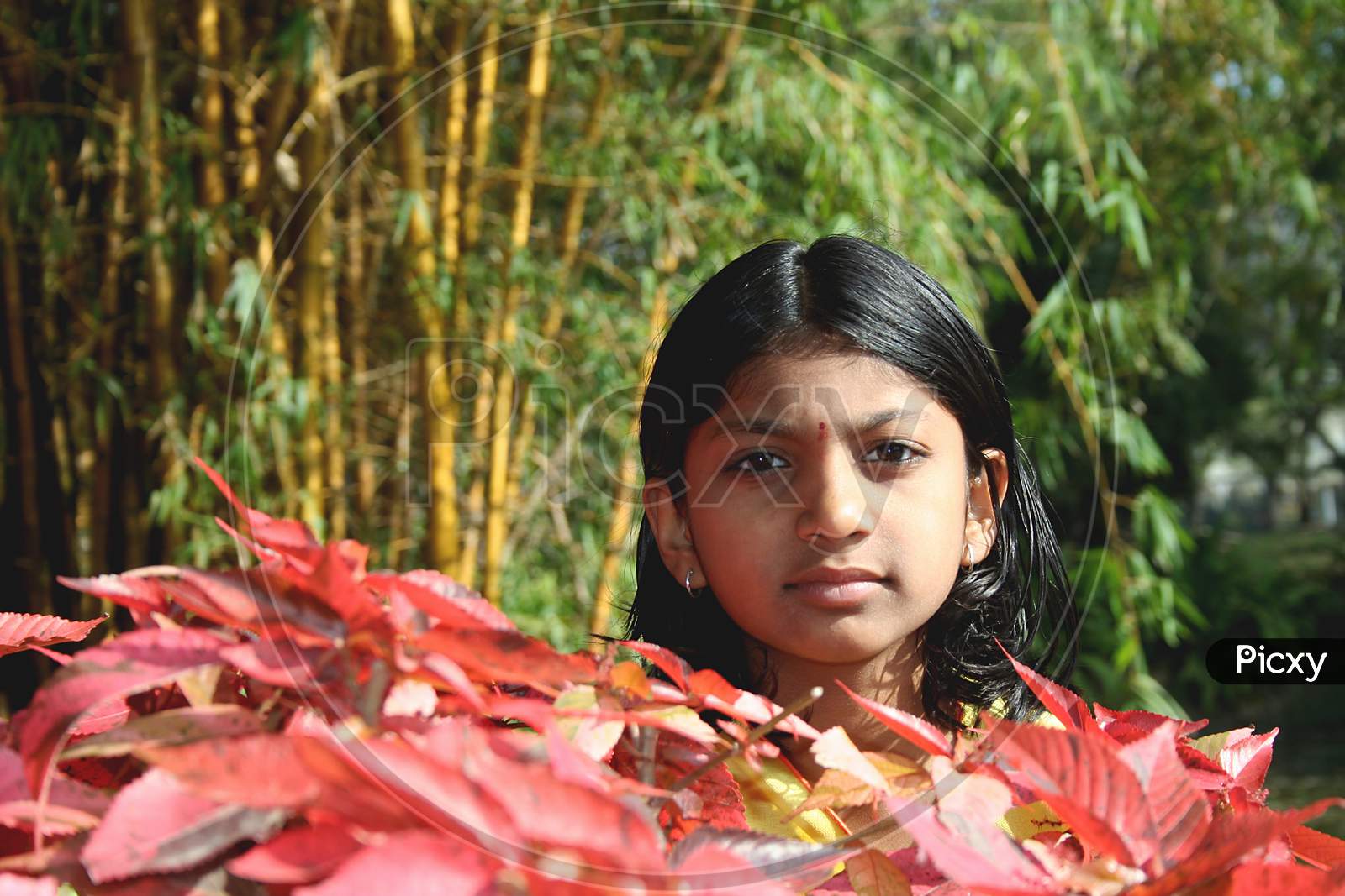 Girl Amidst Foliage