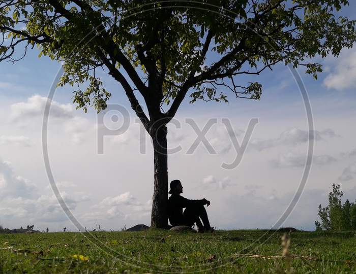 A Boy under the walnut tree, alone and lost in memories.