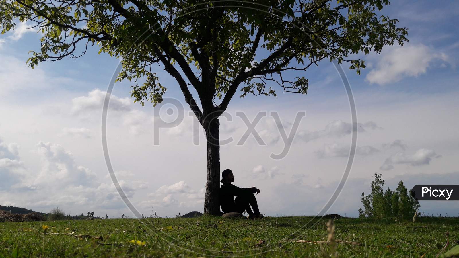 A Boy under the walnut tree, alone and lost in memories.