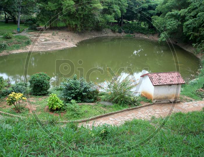 Pond Amidst Greenery