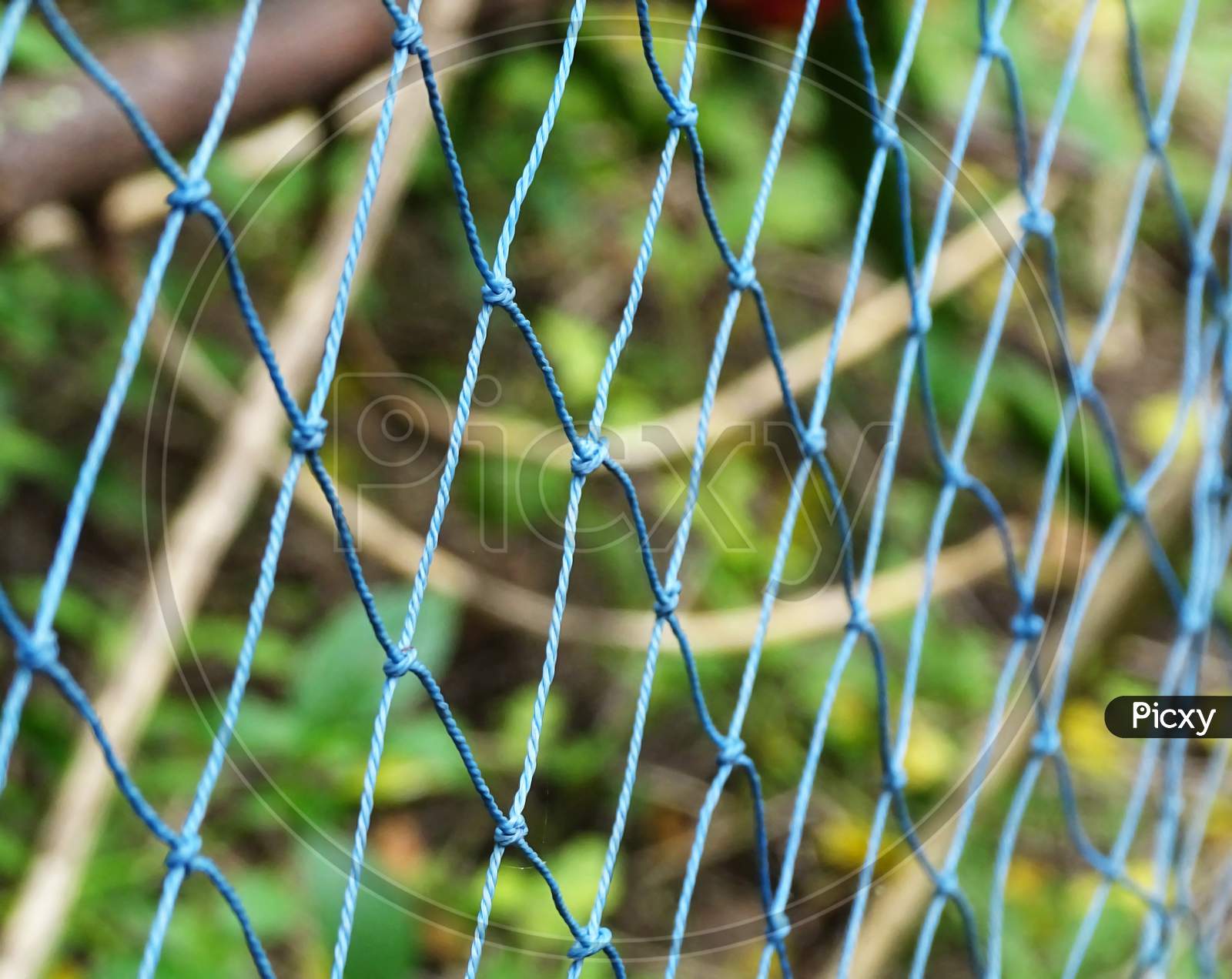 Net garden, background blur, selective focus on subject