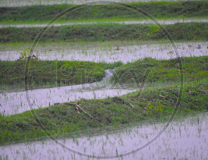Rainny season flood image