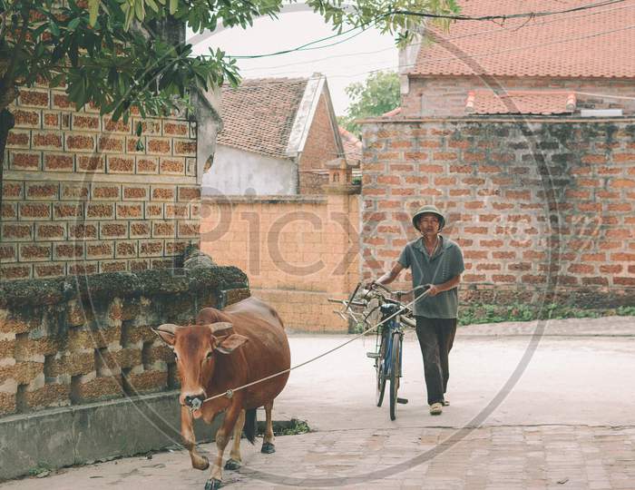 Village life