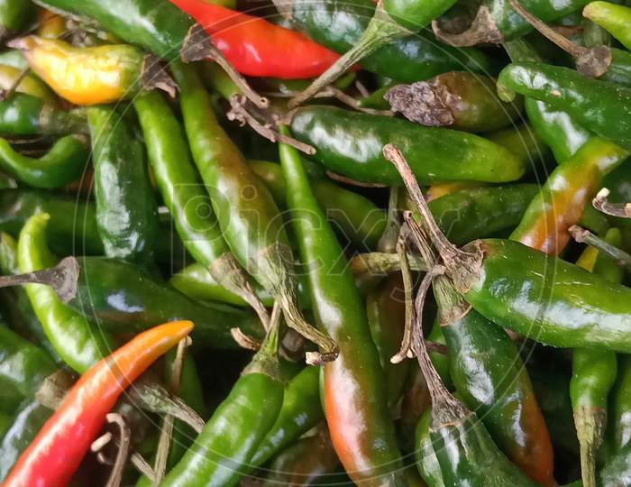 Image of Bird's eye chili, top hot PicEF597914Picxy