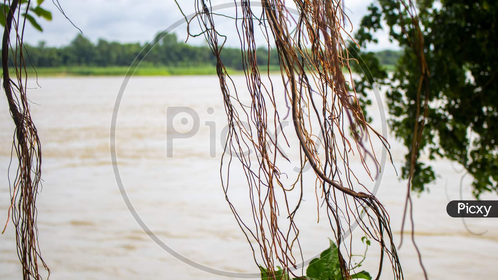 Image Of River Banks Of Bangladesh.