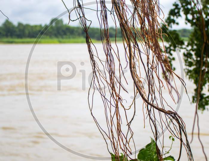Image Of River Banks Of Bangladesh.