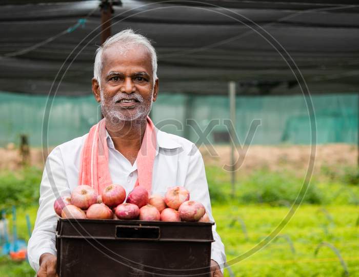 Happy Smiling Indian Farmer Holding Onions In Tray At Greenhouse Or Polyhouse - Cocept Of Good Crop Growth And Profit In Agribusiness.