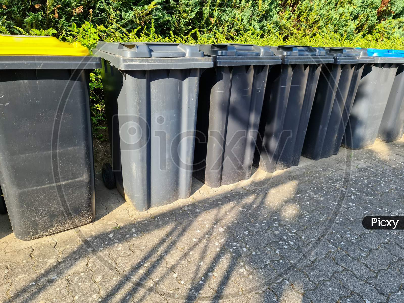 Lots Of Garbage Cans Standing In A Row