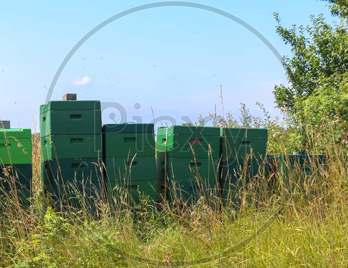Lots Of Bee Boxes At A Field In Northern Europe On A Sunny Day