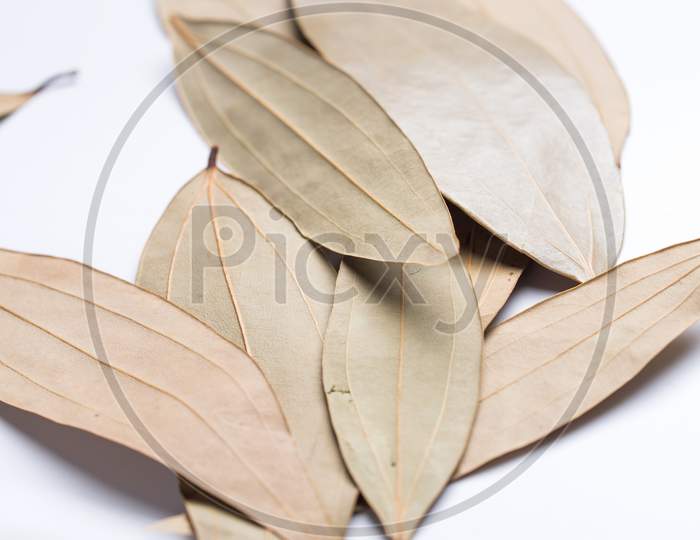 Leaf Spice, Talal Patra, Cinnamomum Tamala