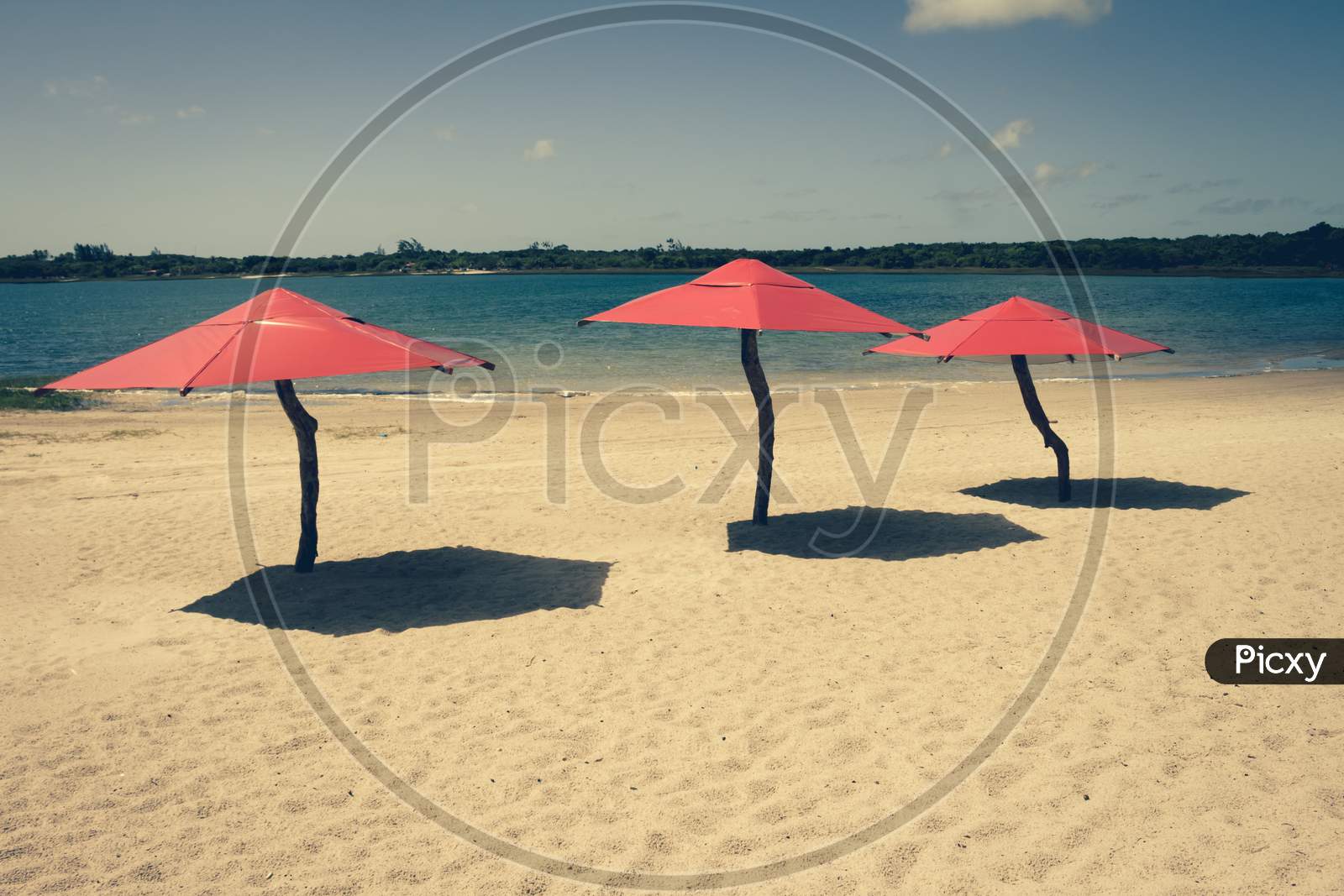 Red Umbrellas On The Beach Awaiting Tourists During A Sunny Day. Holiday Postcard.