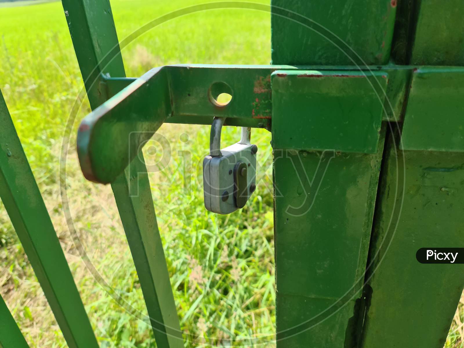 Close Uo Of A Lock At A Close Metal Gate.