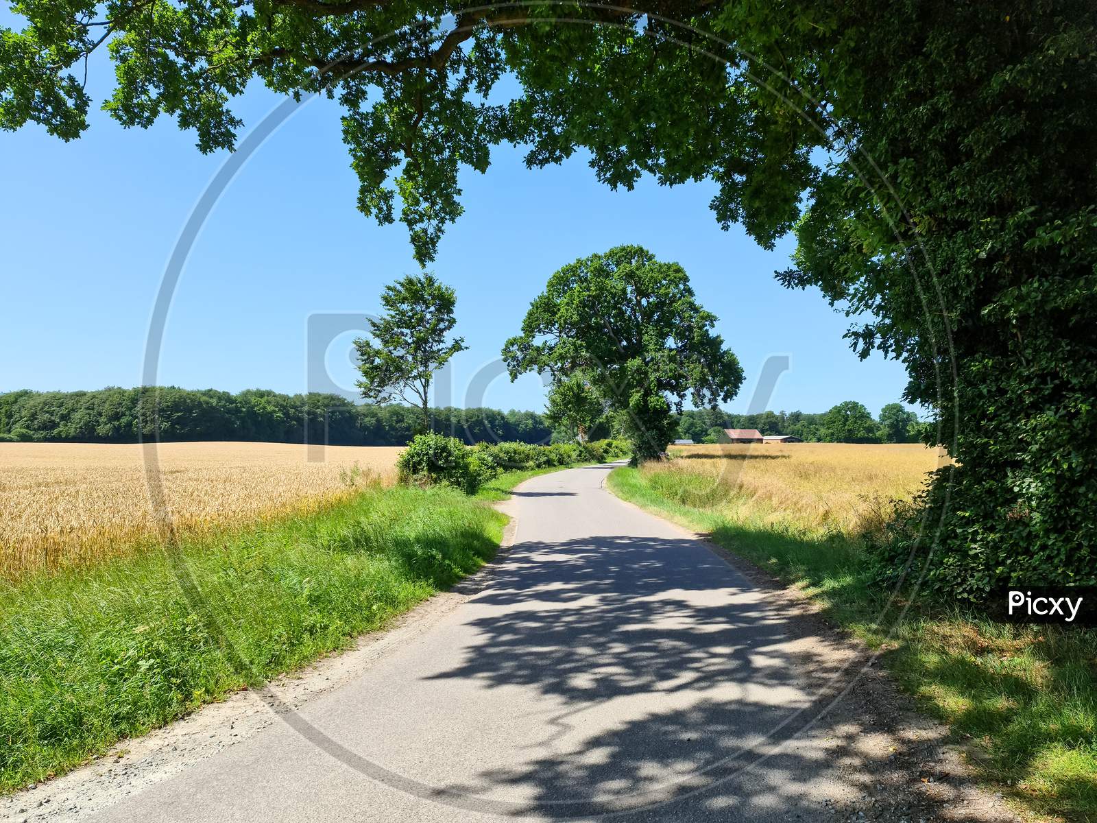 Beautiful View On Countryside Roads With Fields And Trees In Northern Europe