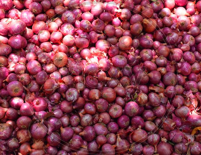 Red Onion Pile. Harvested Onion Piled In The Field.