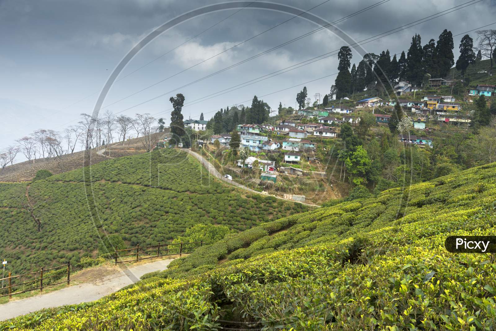A Small Village Beside Lush Green Tea Garden Of Darjeeling, West Bengal, India.