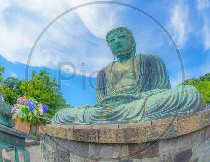 Early Summer Of The Great Buddha Of Kamakura, Which Was Wrapped In Fresh Green