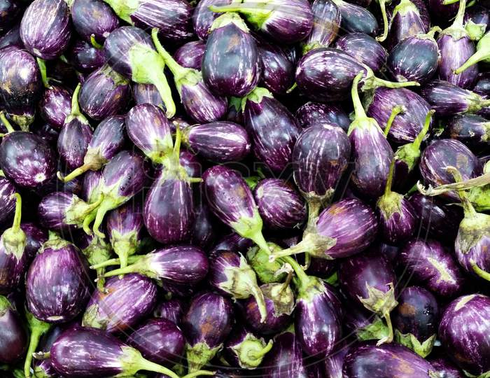 A pile of fresh raw eggplants also known as brinjal or aubergine