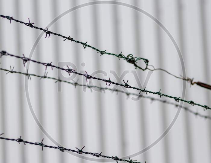 Barbed wire fence as protection and no trespassing safety symbol and warning for defense and military razor sharp security for jail and imprisonment of criminals and secure border line fixation in war