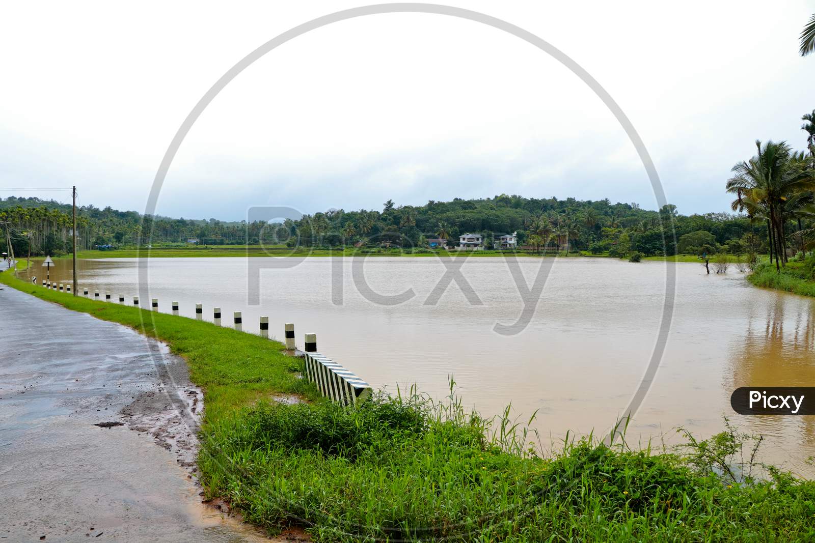 A Village Road Through Paddy Field During Flood Time