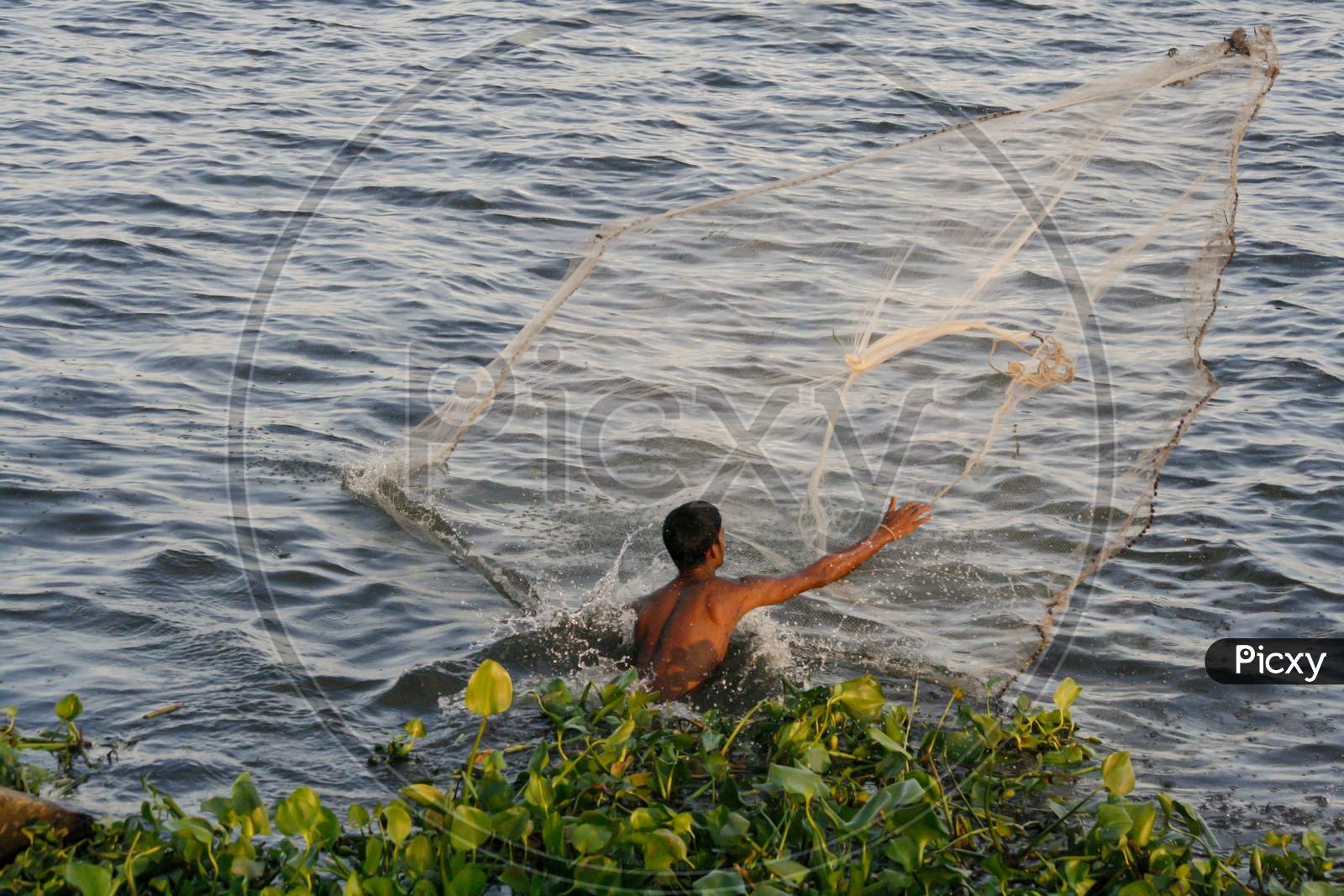 A shirtless fisherman throwing fishing net into river to catch fish in Bangladesh