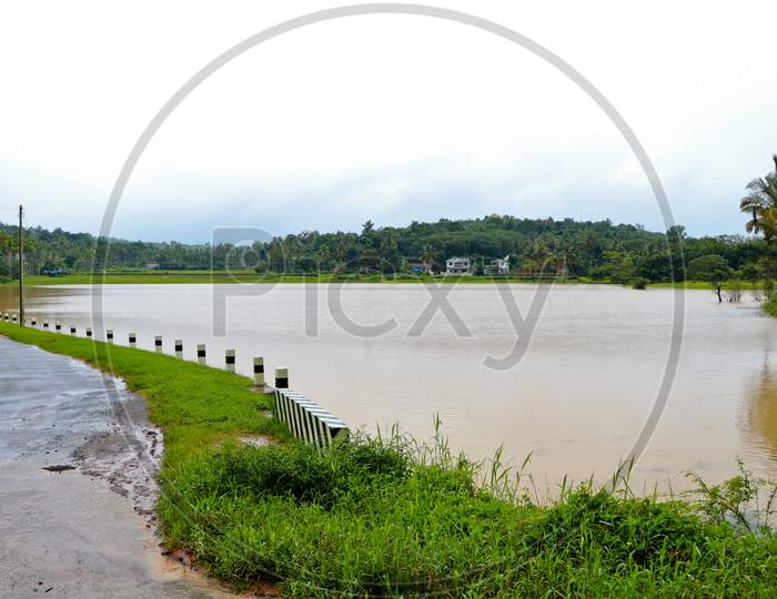 A Village Road Through Paddy Field During Flood Time