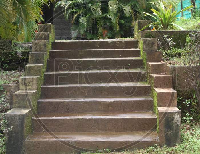 Stair Case Of Cement With Greenery