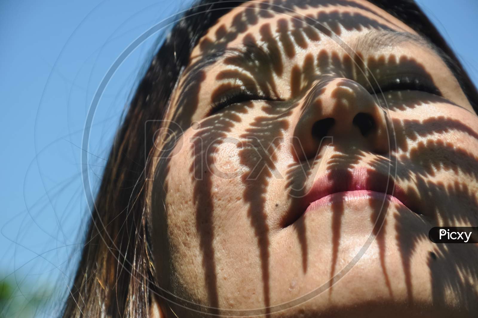 Closeup shot of fern leaf shadow on a asian girl face, Close-up of a girl real face with pores