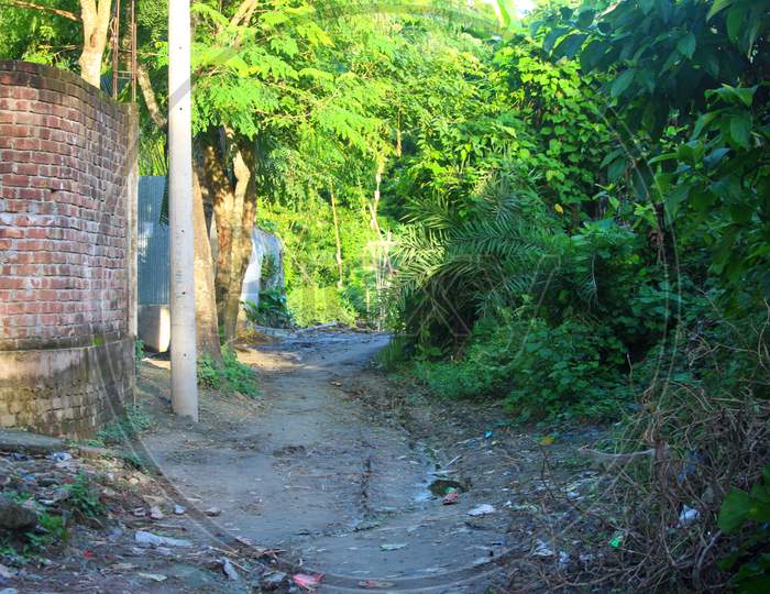 Village Road Of Bangladesh