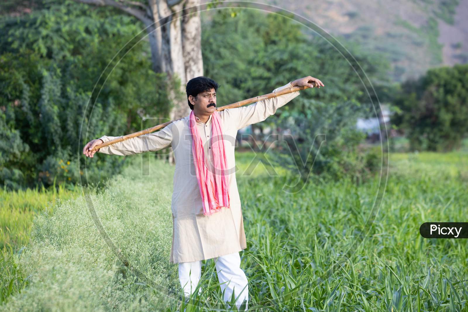 Indian Farmer Holding Wood Stick In Hand Standing In Agriculture Field Wearing Traditional Kurta Dress, Man With Mustache And Black Hair. Rural India Concept.