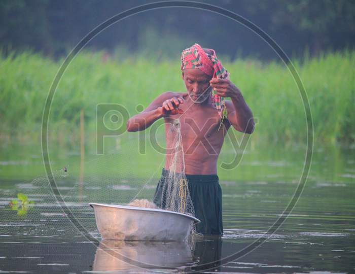 Fish Catching of Daily Fish Life
