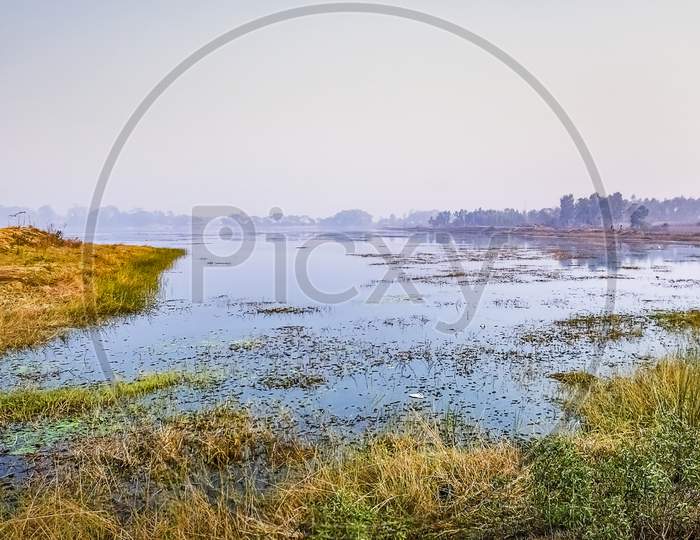 Landscape Picture Of Wetland Ground And Water With Grass And Plants In The Indian Subcontinent , Asia.