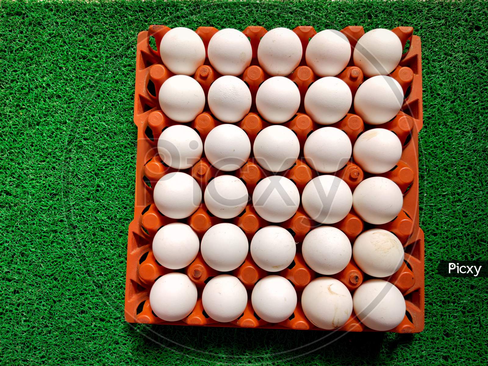 Top View Of 30 Chicken White Eggs Kept In Plastic Tray. Isolated On Green Background. Stack Of Eggs