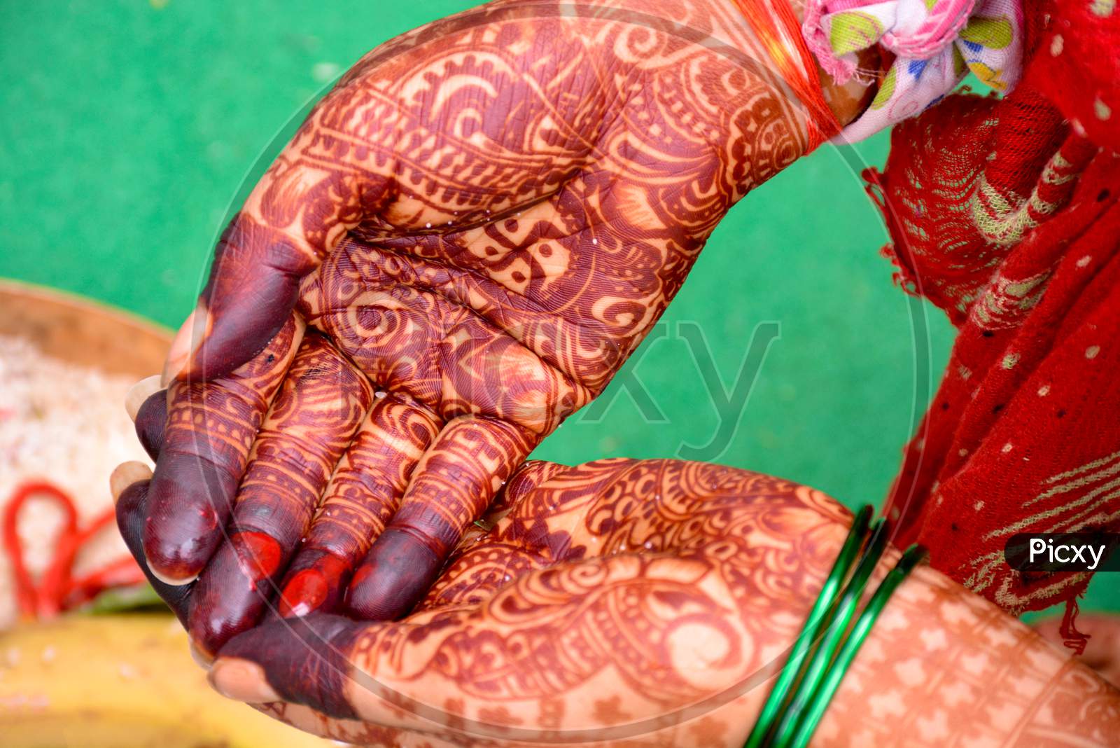 Indian Bride Showing Hands Mehndi Design