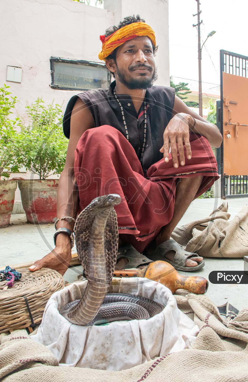 13.August.2021 Kanpur India, Snake Charmer sitting on the ground with Black Cobra in his wooden basket.