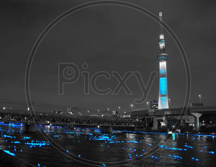 Sky Tree And Illumination (Tokyo Firefly) Single Color