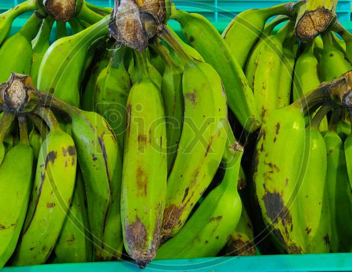 Fresh Organic Crop Of Raw Banana