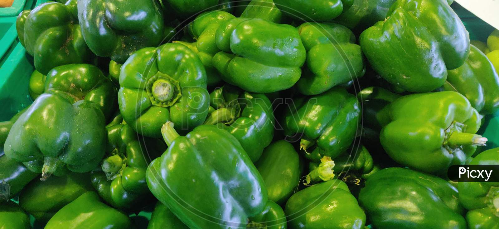 Pile of fresh green capsicum