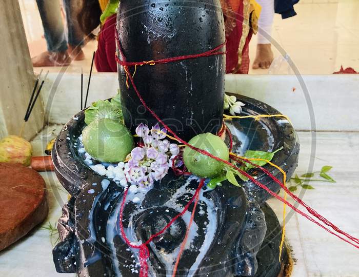 The lord shiva worship by all hindhus